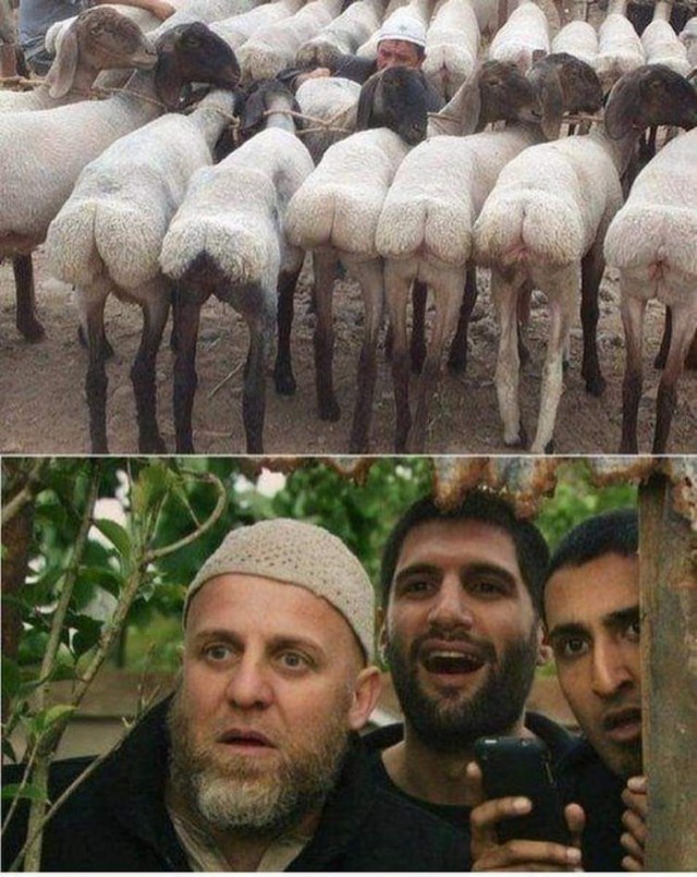 У кого сегодня будет секс?