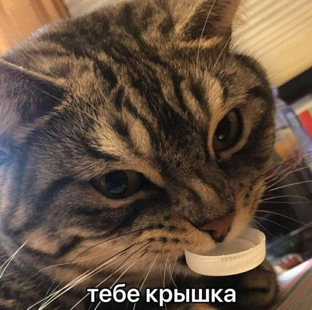 Так себе картинки 10.09.25