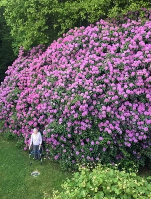 Красивые картинки