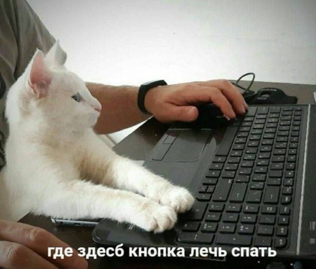 Небаянистая деградация 6