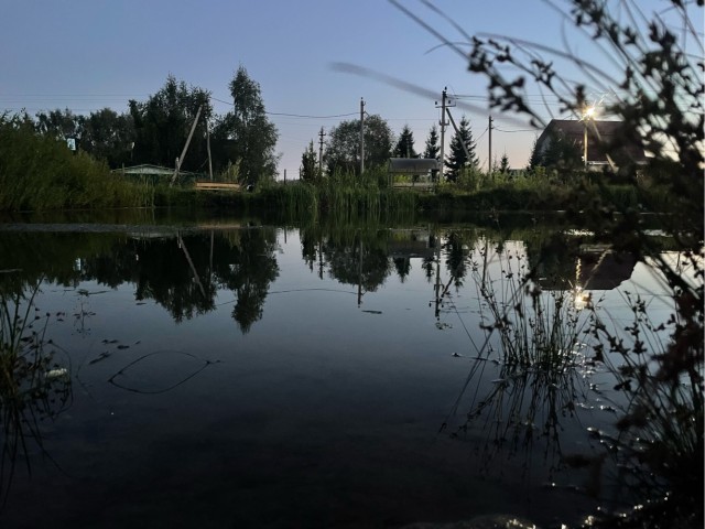Моя мобильная фотография.