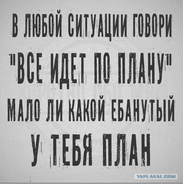 Так себе картинки 29.12.25