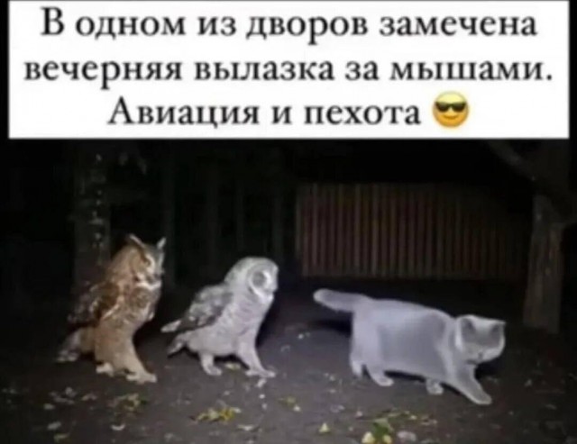 Картинки для деградации 270 (разной степени свежести)