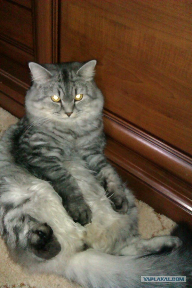 Вот это поворот!