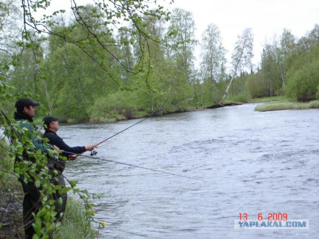 Как я отдыхаю