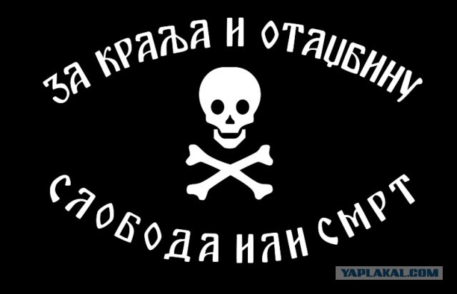 Браты Сербы за русских в Крыму!