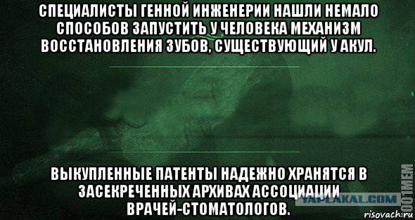 А вдруг - это правда