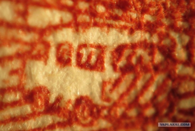 Победители конкурса микрофотографии