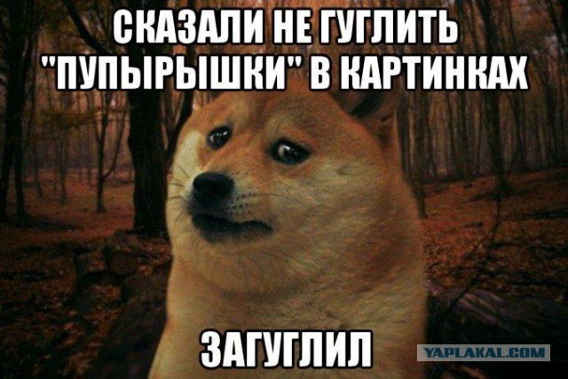 Никогда не гугли эти слова! Слышишь?