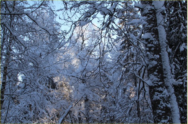 Немного моих фото, авторское