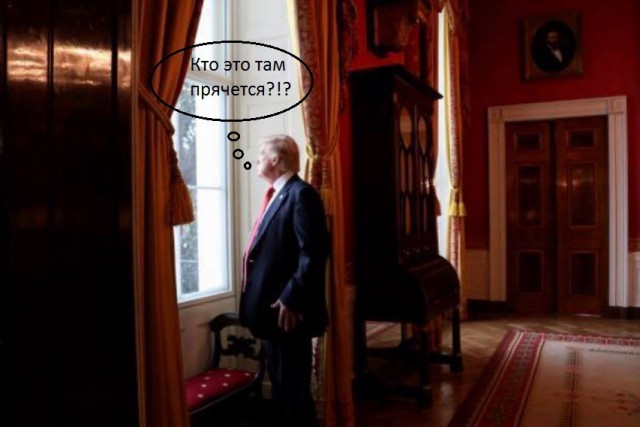 Саакашвили не пустили на инаугурацию Трампа и оставили за забором