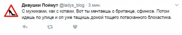 Смешные комментарии 23.04.2017