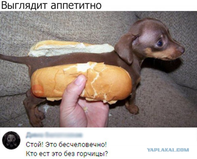 Немного деграданса