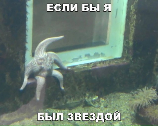 144 картинки для поднятия настроения!