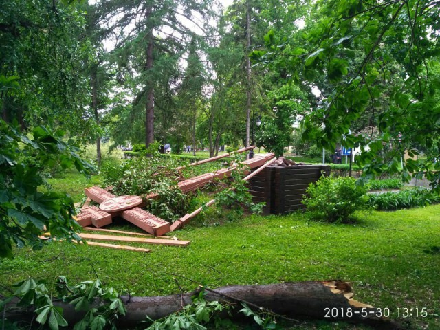 В Нижнем Новгороде ураган вырывает деревья с корнем и переворачивает машины