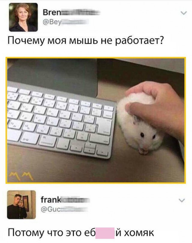 Весёлые картинки