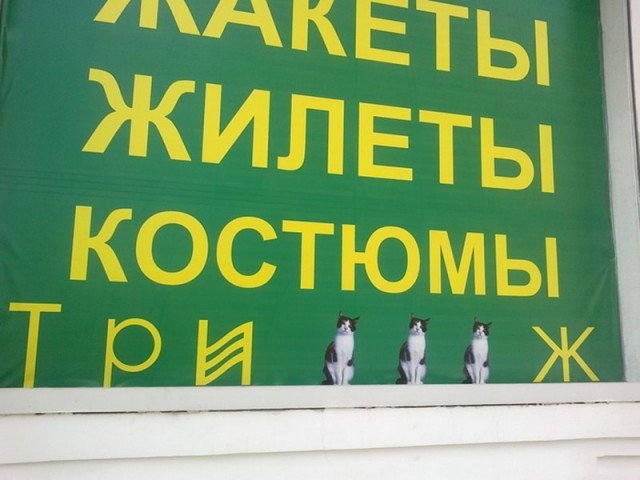 Немного весёлых картинок в эту субботу