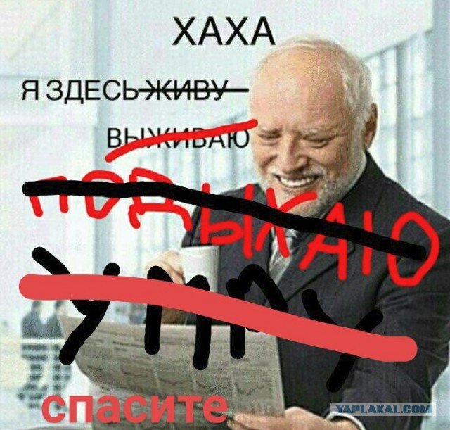 Сенатор внес законопроект об арестах за неуважение к власти в интернете