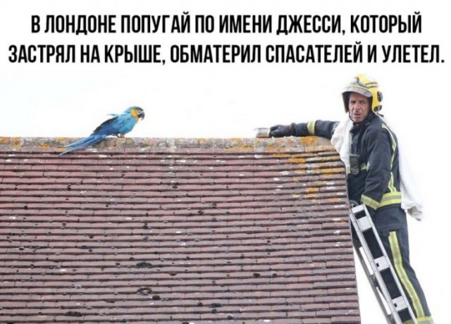 Немного картинок для настроения