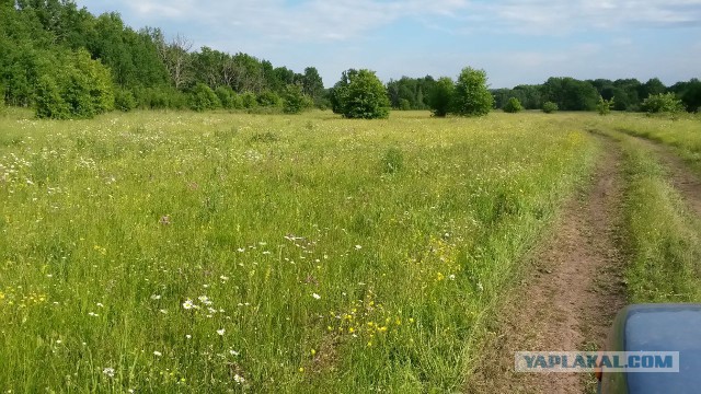 Красота сельских дорог