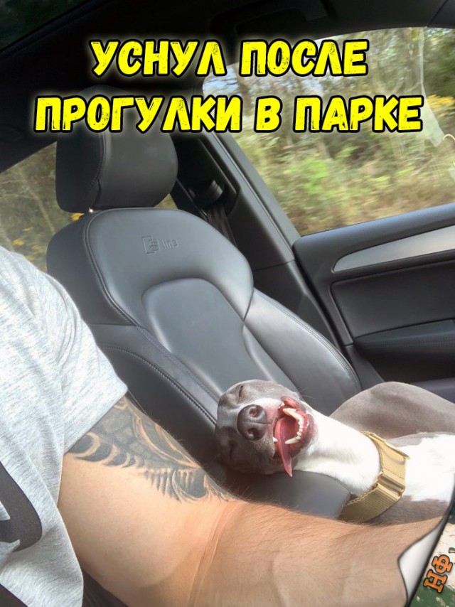 Нестандартный юмор