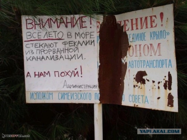 Почему местные жители Сочи сами не купаются на городских пляжах