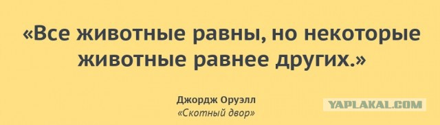 «Ваши документики! Ой, простите». В Петербурге полиция замахнулась на Rolls-Royce и не смогла