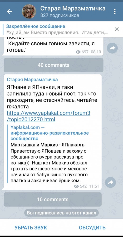 Мартышка и Маркиз