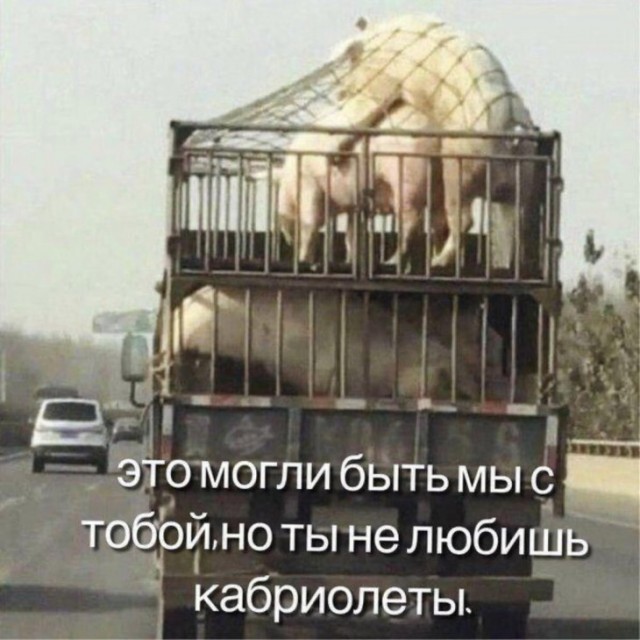 Немного картинок для настроения 14.02.20
