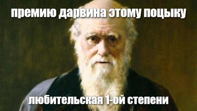 Заслуженная премия Дарвина
