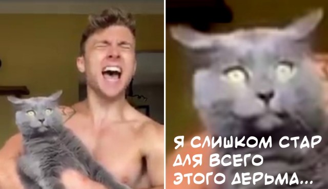 Посмотрите на этого поющего!