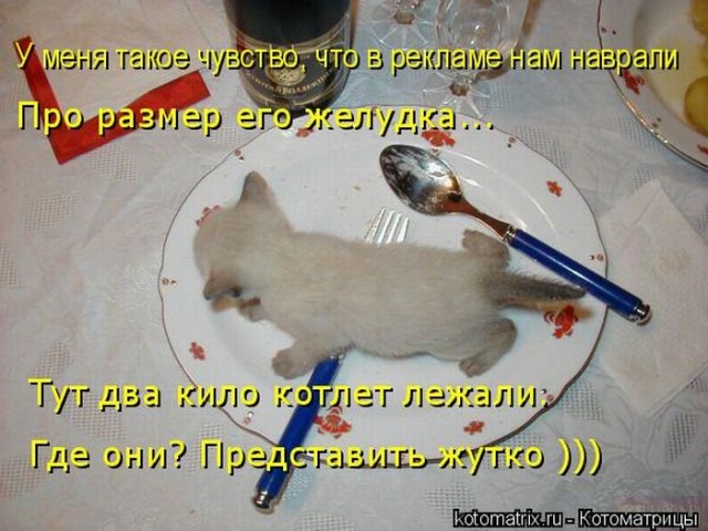 Картинки разные 08.10.2020
