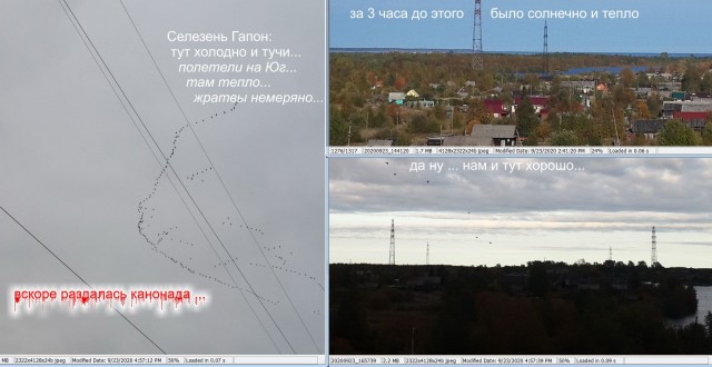 Ходят слухи, шо Лёха запутался в собственном вранье