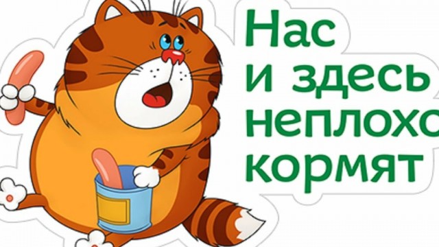 Как быстро надоедает жена