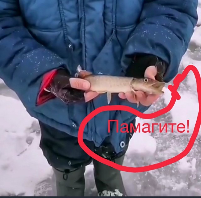 Правильное воспитание