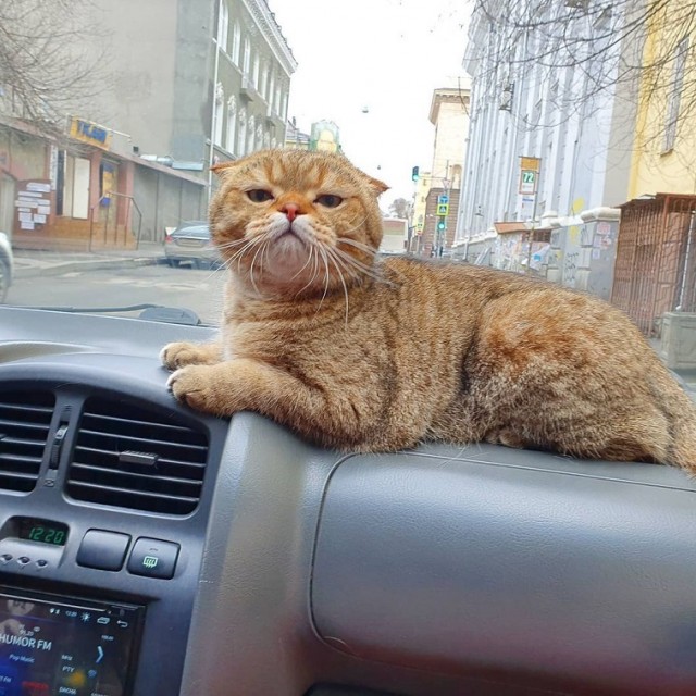 Лучший антистресс для езды по нашим дорогам. Ростов-на-Дону