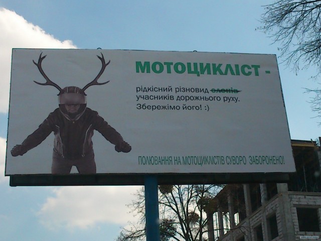 Олени за рулем