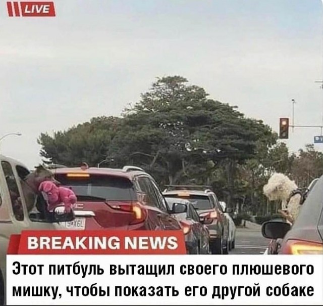 Весёлый полтишок 7.04