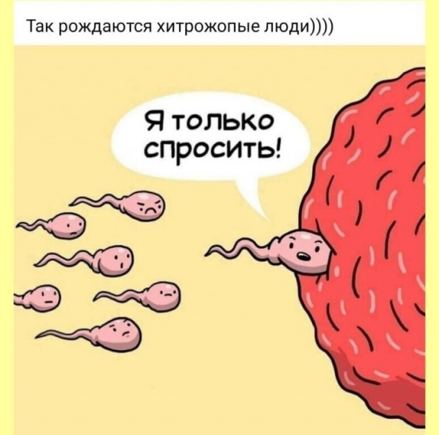 Баянисто-небаянистый юмор 24.04.21