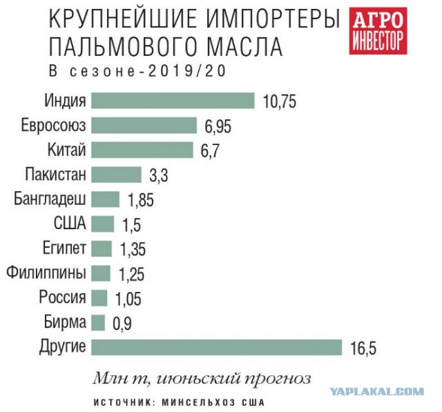 Что думают о русских те, кто присылает нам пальмовое масло? Редкий случай, когда малазиец говорит правду