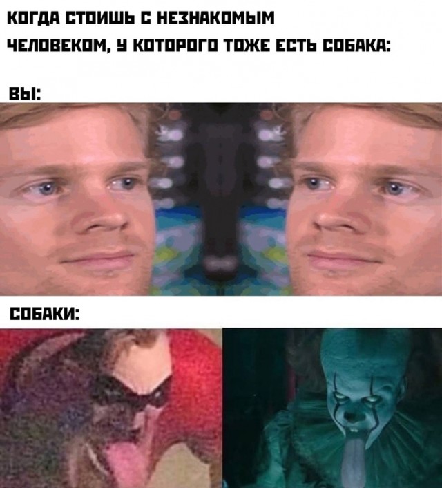 Весёлый полтишок 12.06