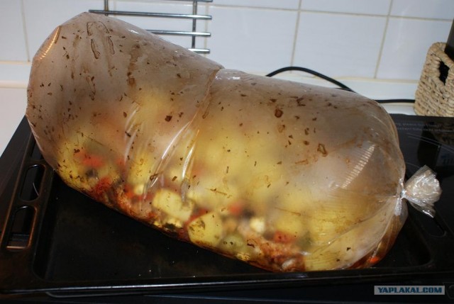 Ноги, хвосты… главное – крылья!, Кура-International–2, куриные крылья