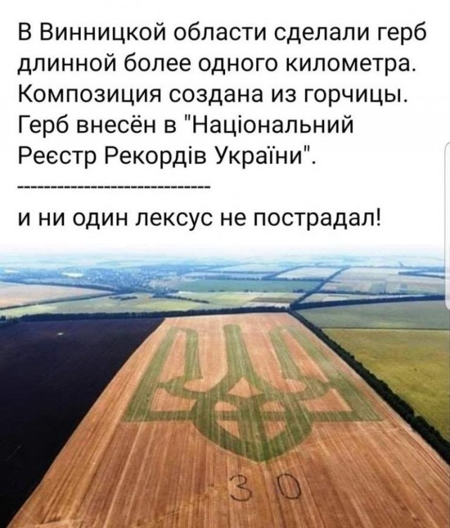 В Херсоне упавший флагшток раздавил Лексус