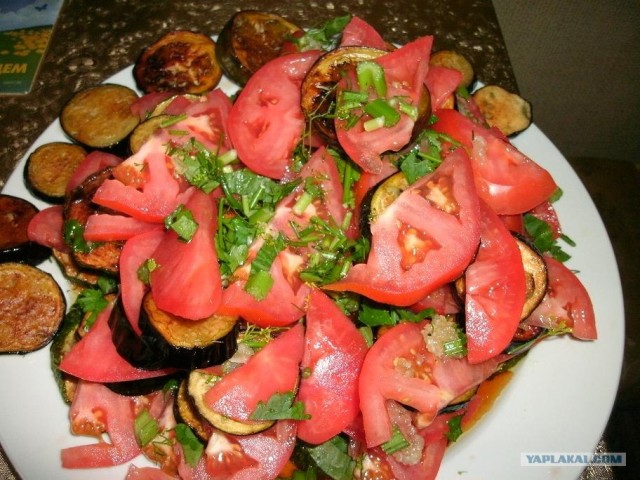 Пятничные посиделки на теплотрассе ©