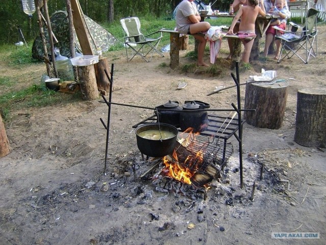 Дача, грибы, мясо, овощи.