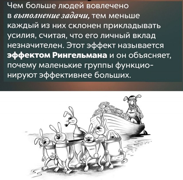 Занимательные факты о разном