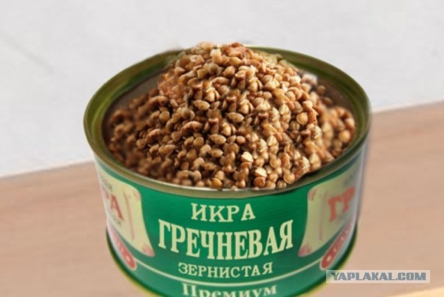 Почему на Западе не выращивают гречку?