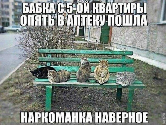 Пандемия. Коронавирус. Россия и мир. Часть 29