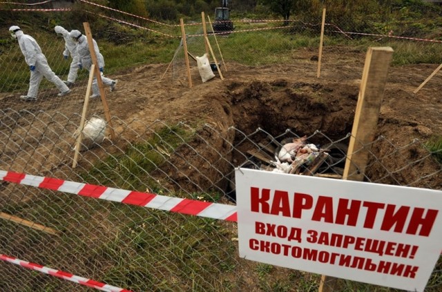 Съемочная группа американского ABC News побывала в Подмосковье