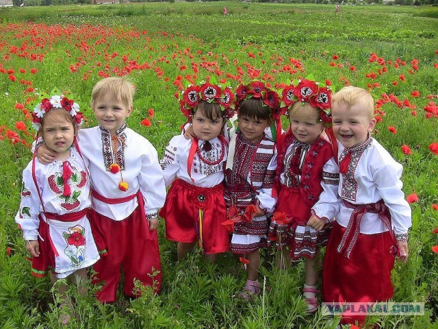Франция предрекла мировой голод из-за ситуации на Украине
